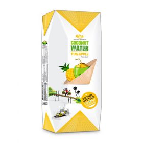 Aseptic 200ml Coconut With Pineapple